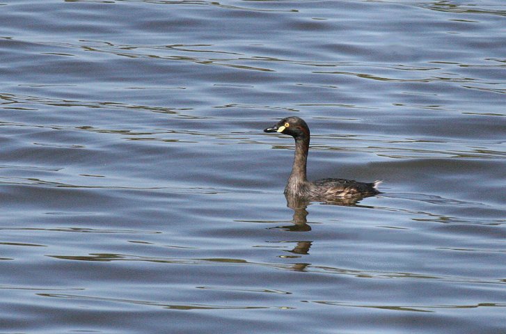 �m�h�O���J�C�c�u��