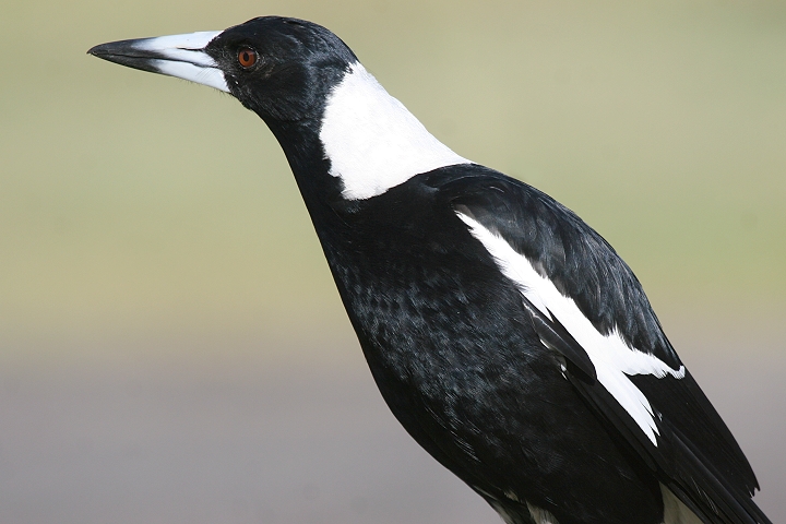 �J�T�T�M�t�G�K���X