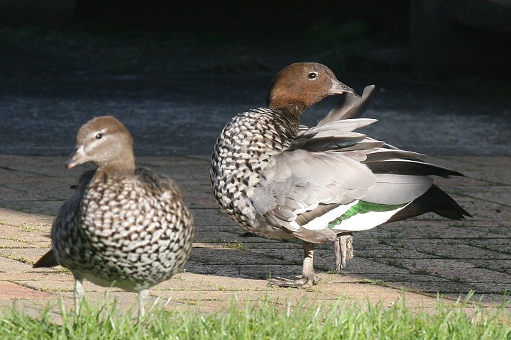 �^�e�K�~�K��