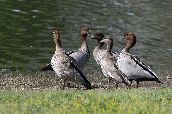 �^�e�K�~�K��