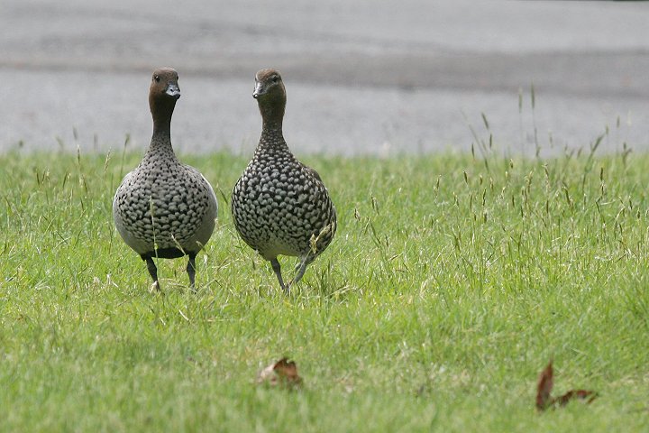 �^�e�K�~�K��