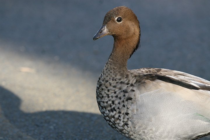 �^�e�K�~�K��