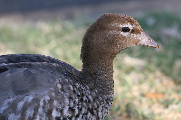 �^�e�K�~�K��