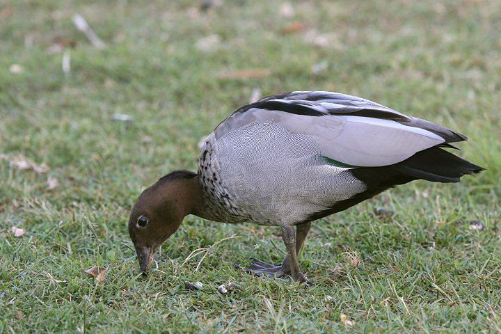 �^�e�K�~�K��