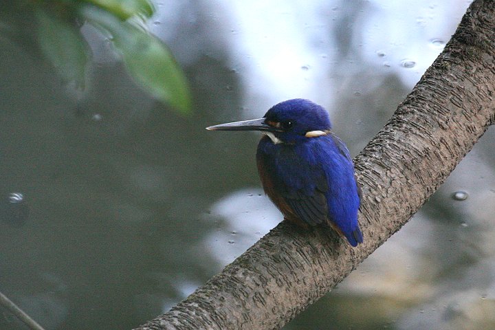 ,�����~�c���r�J���Z�~