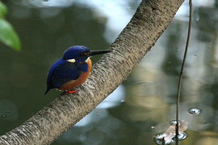 ,�����~�c���r�J���Z�~