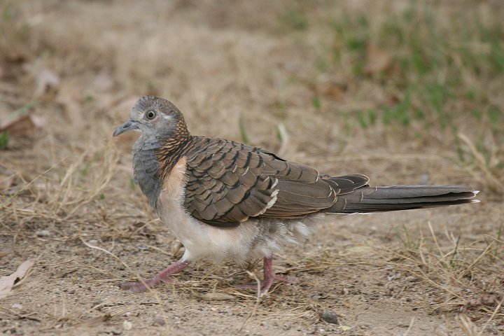 �x�j�J�m�R�o�g