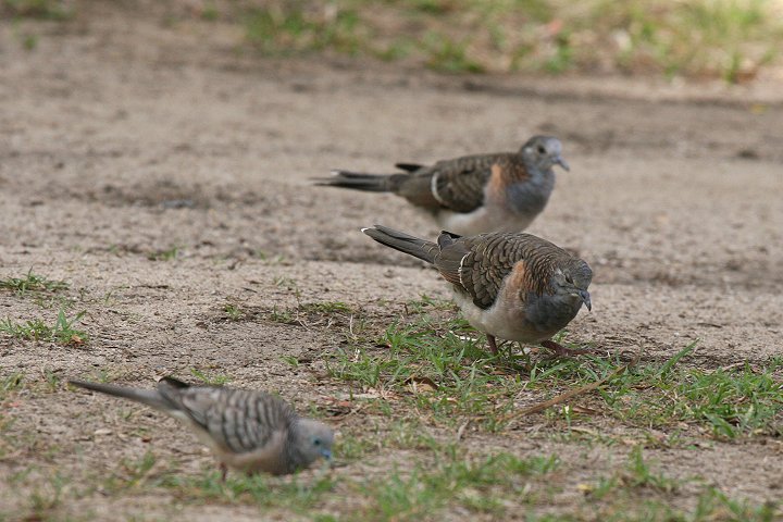 �x�j�J�m�R�o�g