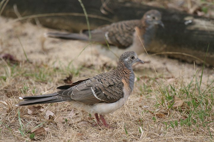 �x�j�J�m�R�o�g