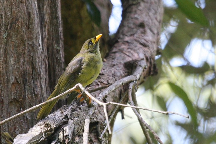 �X�Y�~�c�X�C