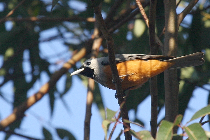 �J�I�O���J�T�T�M�r�^�L