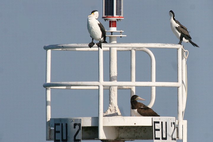 �J�c�I�h��