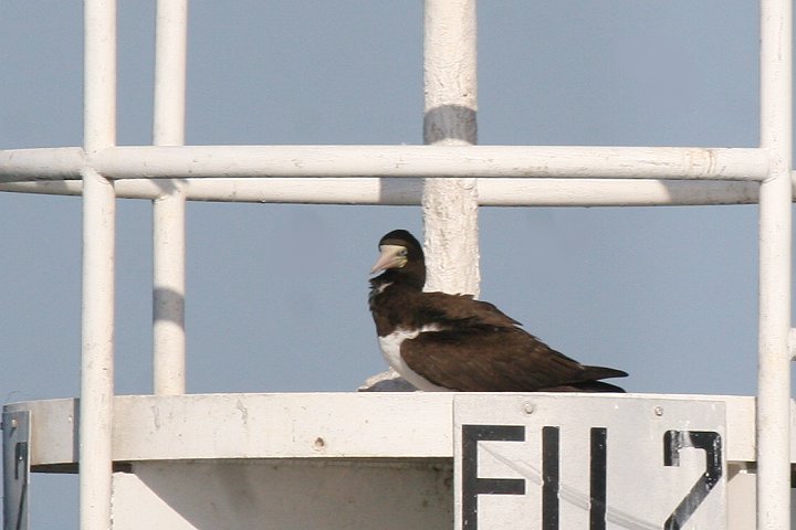 �J�c�I�h��