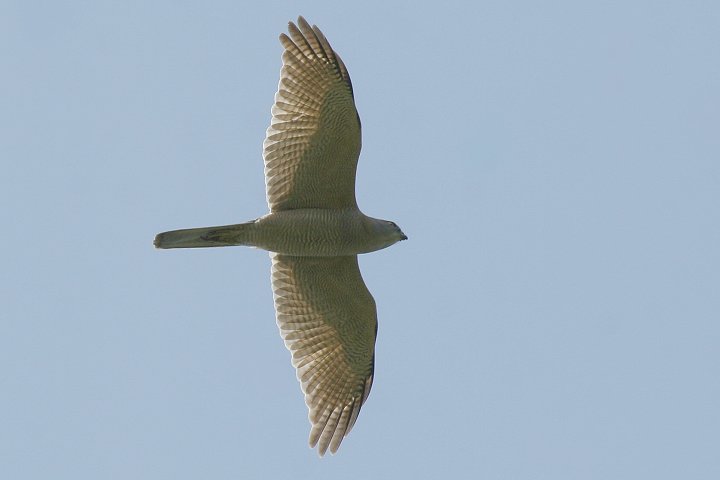 �A�J�n���I�I�^�J