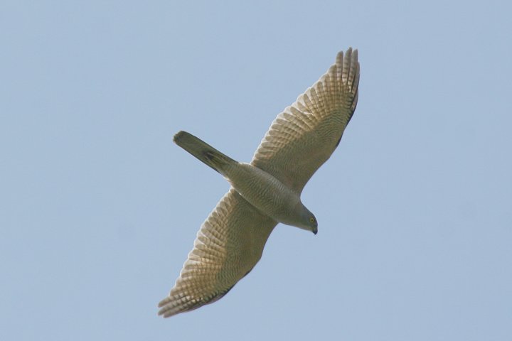 �A�J�n���I�I�^�J