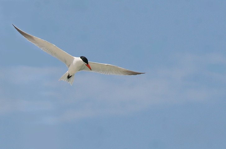 �I�j�A�W�T�V