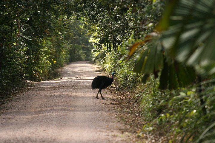 �q�N�C�h��