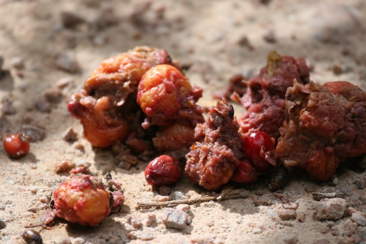 �q�N�C�h���̕�