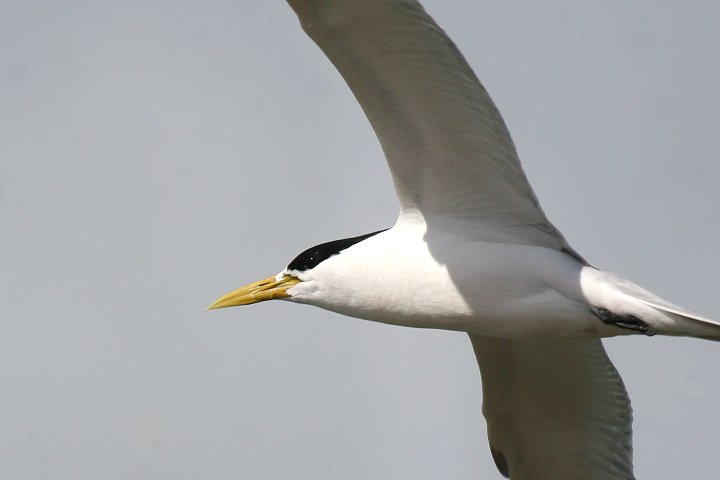 �I�I�A�W�T�V