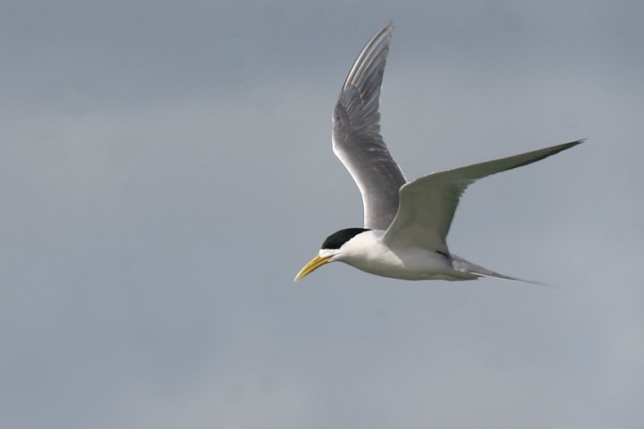 �I�I�A�W�T�V