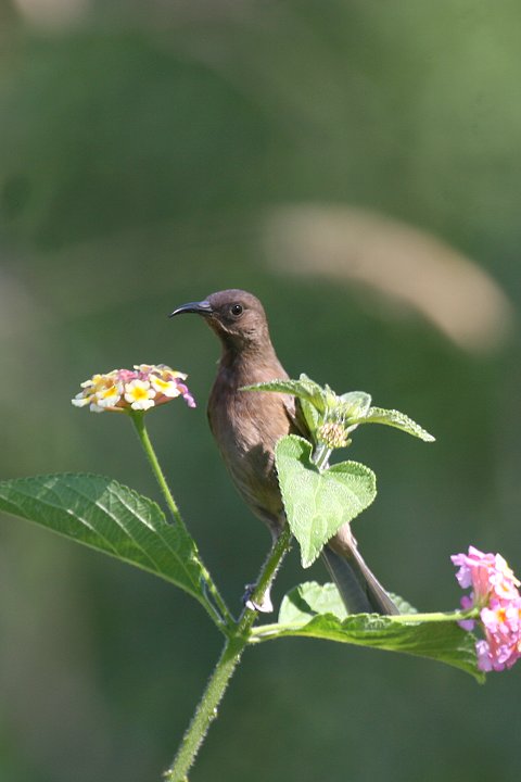 �R�Q�`���~�c�X�C