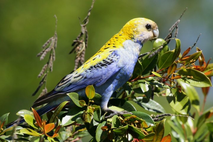 �z�I�A�I�T���N�T�C���R