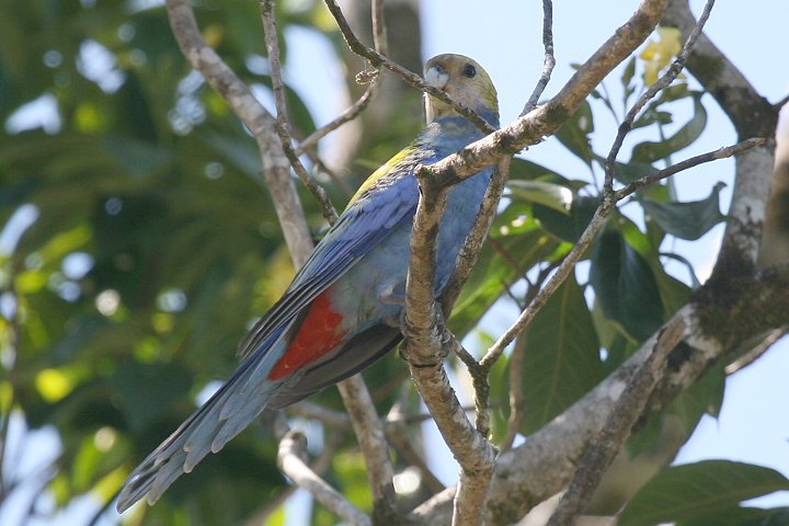 �z�I�A�I�T���N�T�C���R