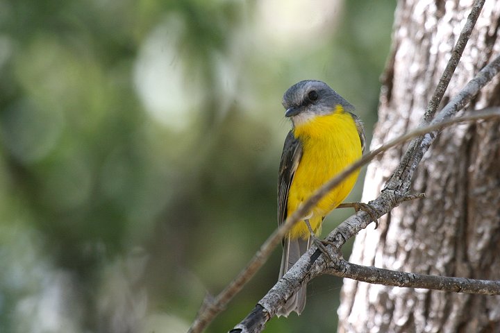 �q�K�V�L�o���q�^�L