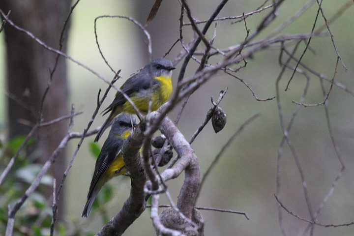 �q�K�V�L�o���q�^�L