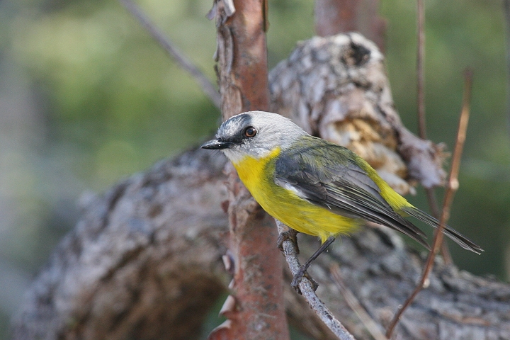 �q�K�V�L�o���q�^�L