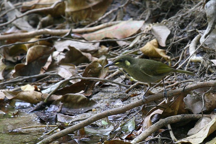 �n�V�{�\�L�~�~�~�c�X�C