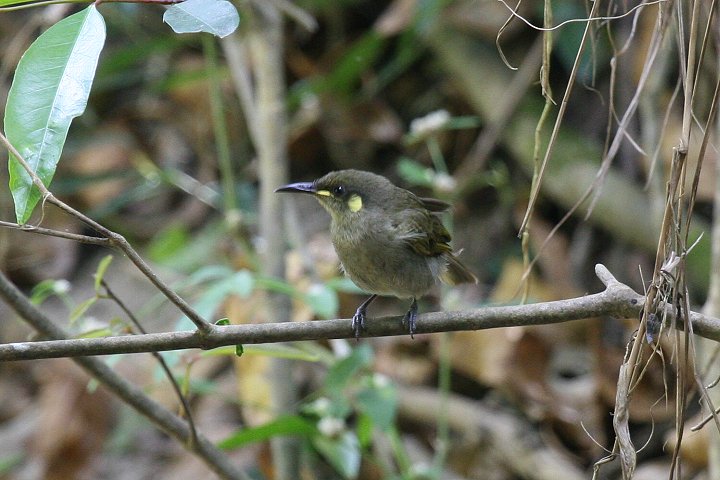 �n�V�{�\�L�~�~�~�c�X�C