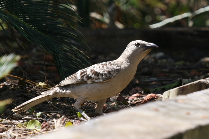 �I�I�j���V�h��