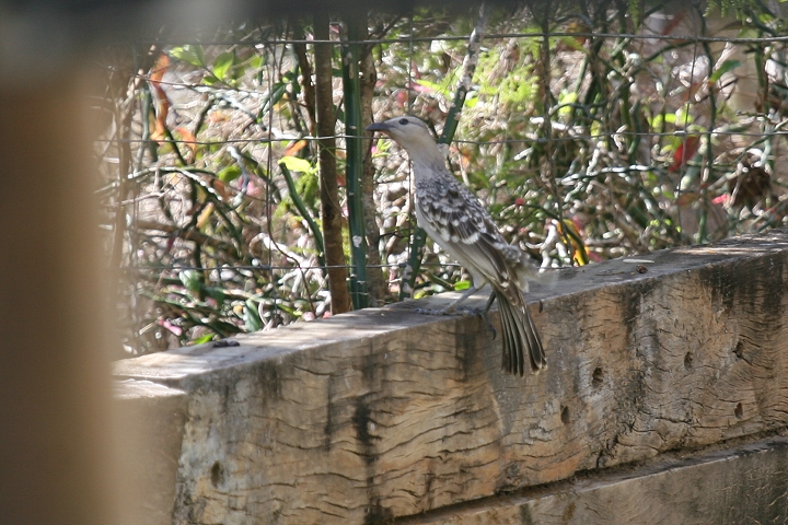 �I�I�j���V�h��