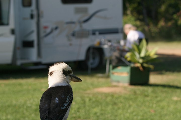 �����C�J���Z�~