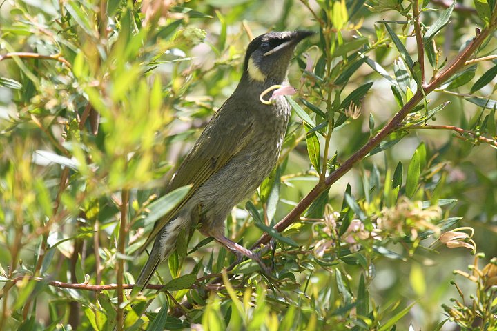 �L�~�~�~�c�X�C