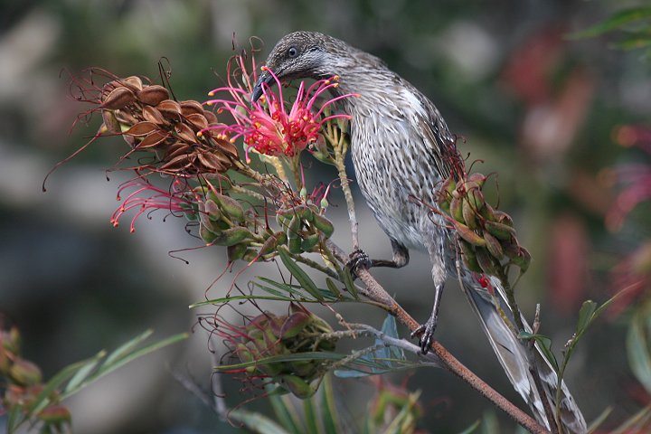 �M���z�I�~�c�X�C