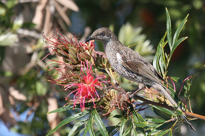 �M���z�I�~�c�X�C