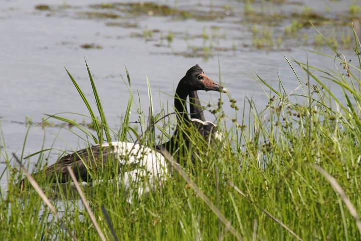 �J�T�T�M�K��