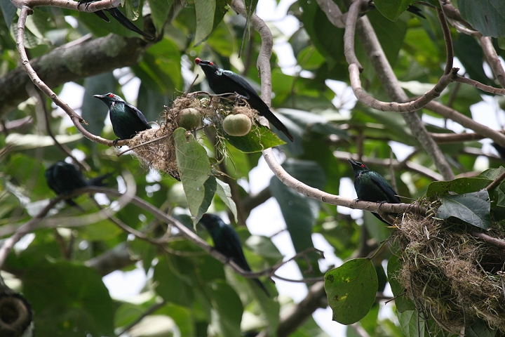 �I�i�K�e���J���X���h�L