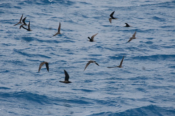 �N���A�W�T�V