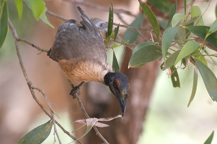 �Y�O���n�Q�~�c�X�C