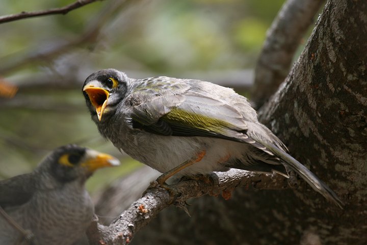 �N���K�I�~�c�X�C