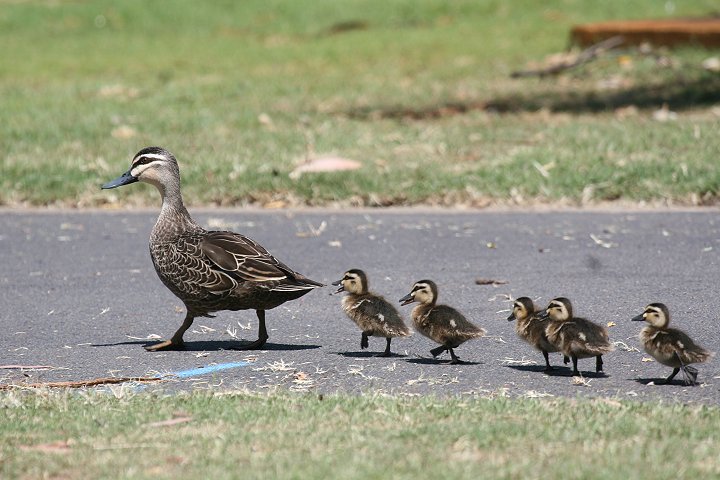 �}�~�W���J���K��