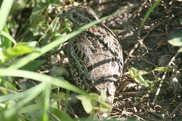 �T�T�t�~�t�E�Y��