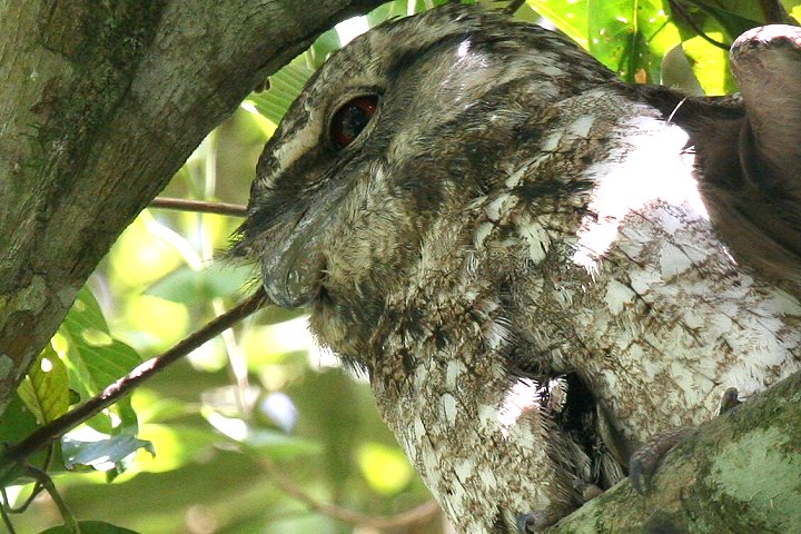 �p�v�A�K�}�O�`���^�J