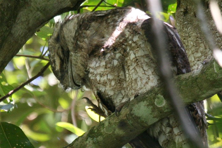 �p�v�A�K�}�O�`���^�J