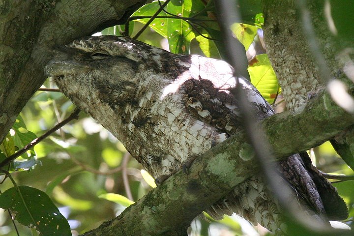 �p�v�A�K�}�O�`���^�J