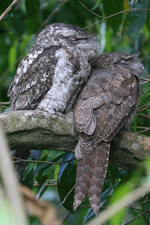 �p�v�A�K�}�O�`���^�J