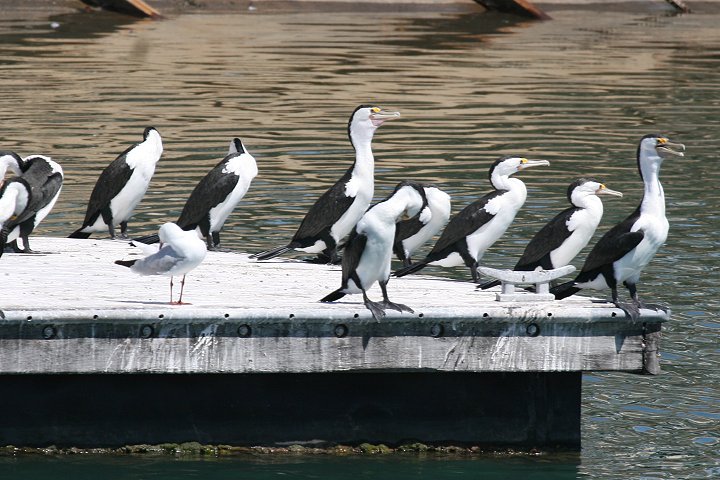 �}�~�W���E